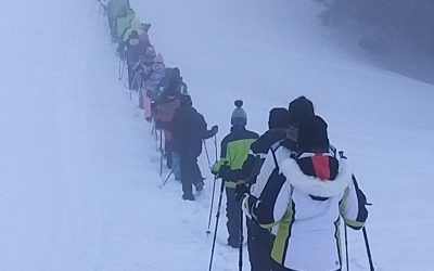 Četrti dan zimske šole v naravi na Soriški planini